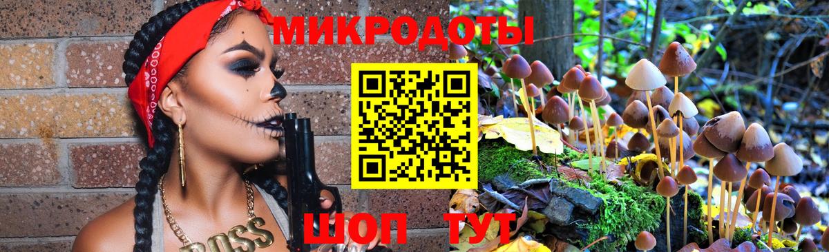 Псилоцибиновые грибы прущие грибы Лениногорск
